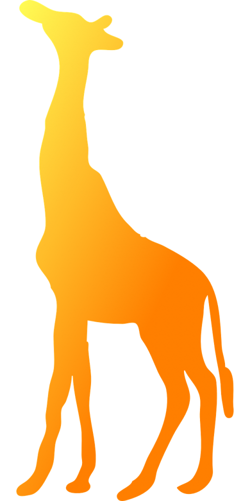 giraffe yellow orange