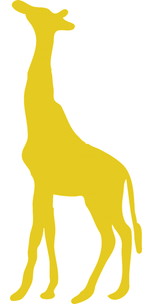 giraffe yellow safari