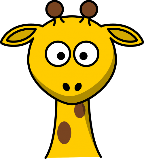giraffe head young