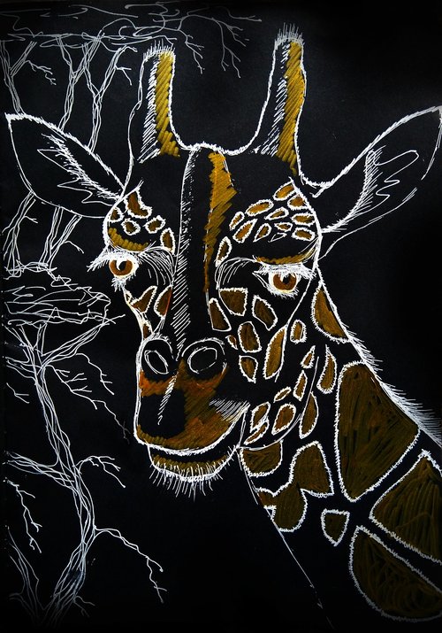 giraffe  sketch  drawing on black background