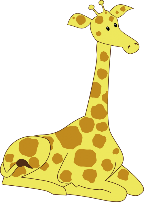 giraffe male nature