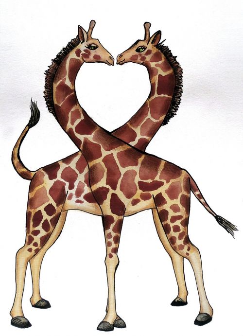giraffe heart love