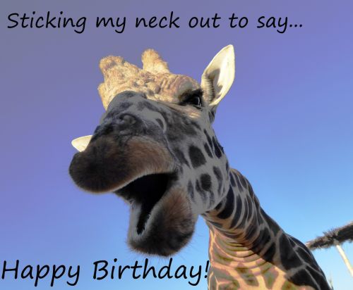 Giraffe Happy Birthday Greeting