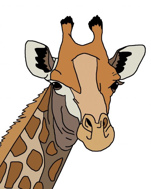 Giraffe Illustration In Color