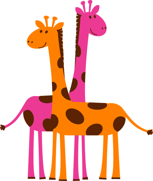 giraffes orange pink