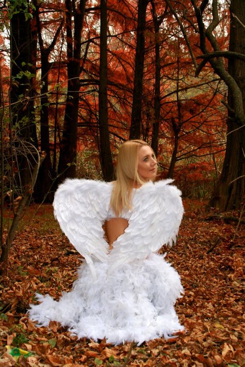 girl angel autumn