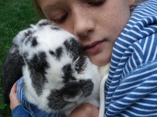 girl rabbit love