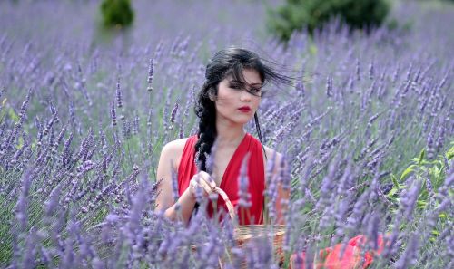 girl lavender flowers