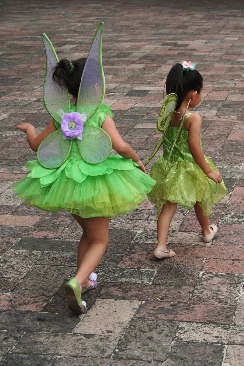 girl fairy couple