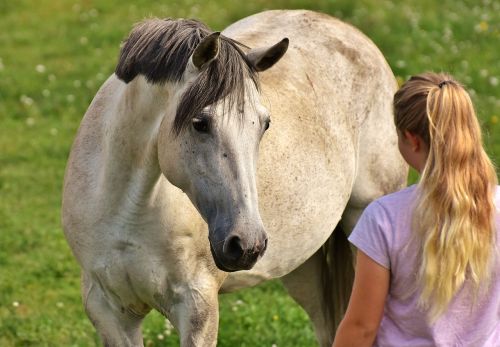 girl love for animals horse