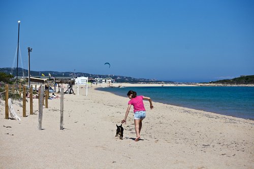 girl  dog  beach