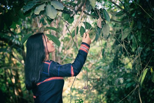 girl  woman  forrest