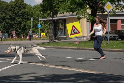 girl  dog  run