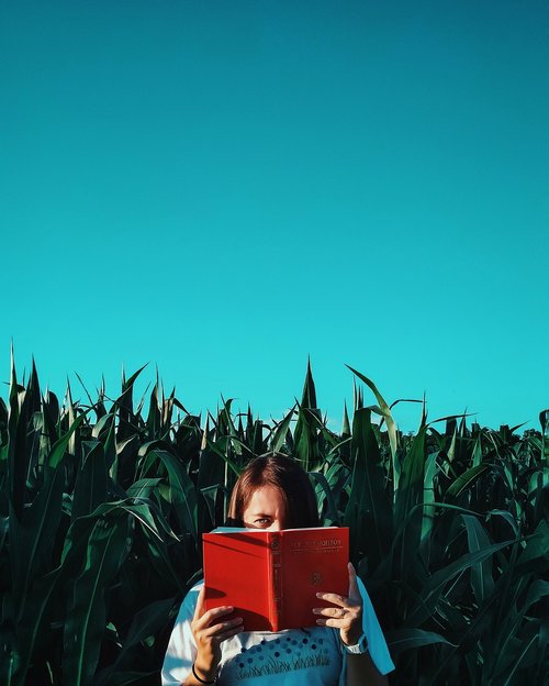 girl  book  corn