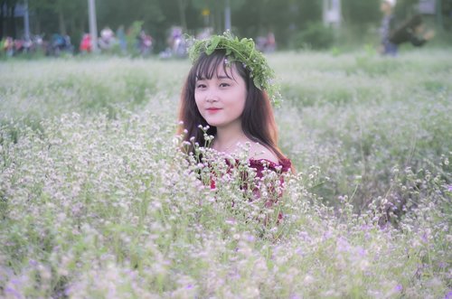girl  field of flowers  beautiful