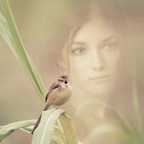 girl  background  bird