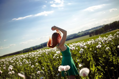 girl  redhead  field