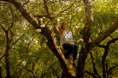 girl  garden  apple tree