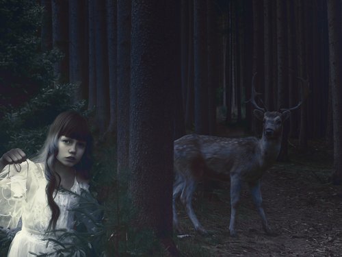 girl  forest  hirsch
