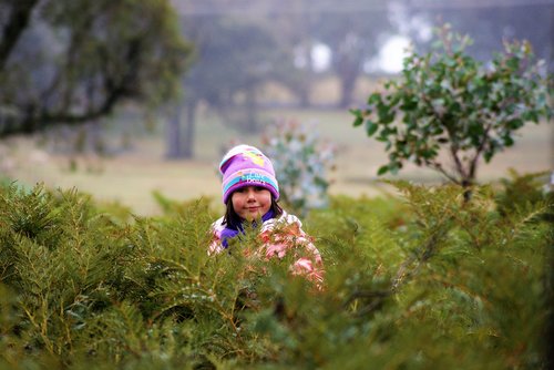 girl  cute  ferns