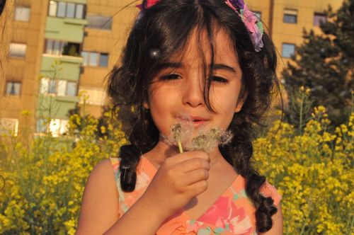 girl dandelion nature