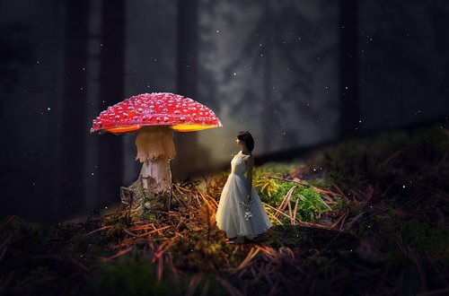 girl  mushroom  forest