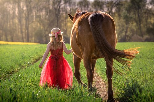 girl  horse  friendship