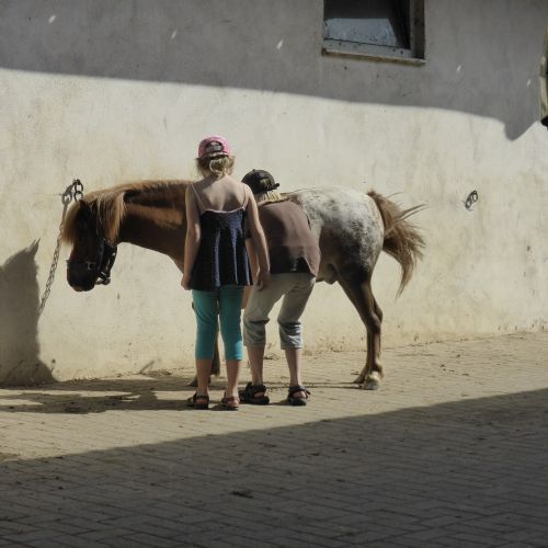 girl children pony