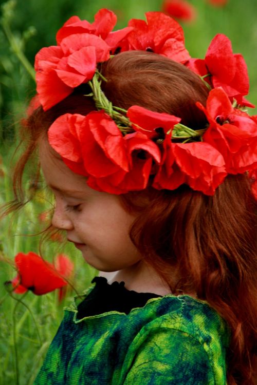 girl poppies red