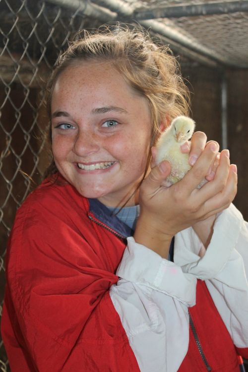 girl farm chick
