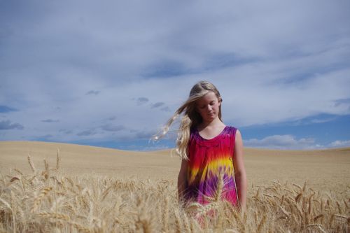 girl field wheat