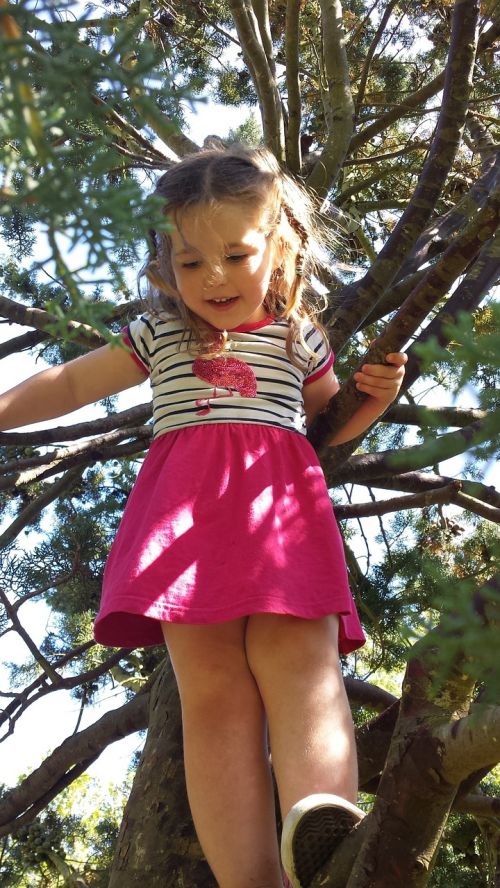 girl tree climbing