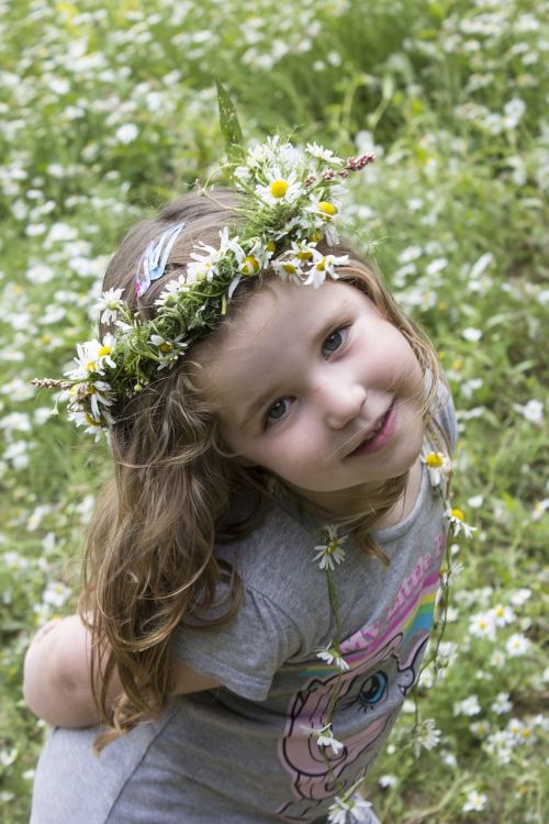 girl daisy field