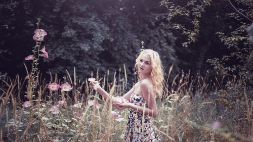 girl collects flowers nature summer