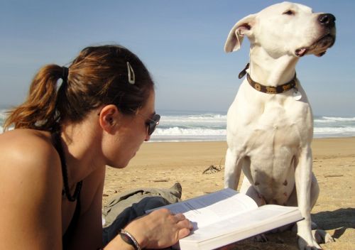 Girl On Beach With Her Dog