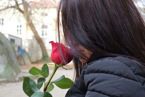 girl with red rose love waiting