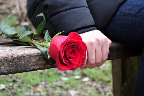 girl with red rose love waiting