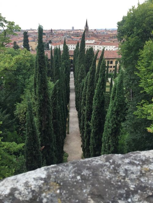 giusti garden verona walk