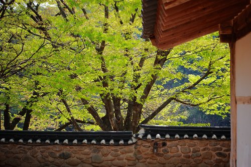 giwajip  korean traditional  spring