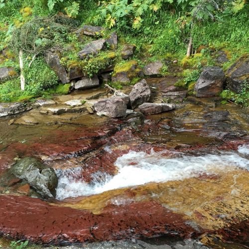 glacier park stream