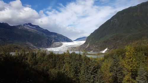 glacier alaska forest