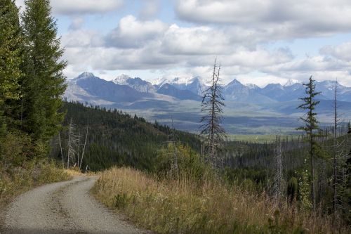 glacier national park forest road