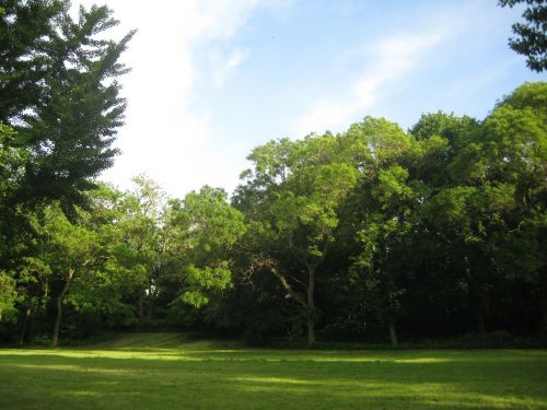 glade park landscape
