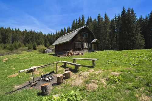 glade landscape nature