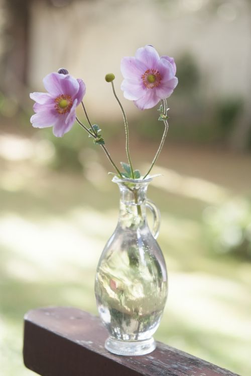 glass vase flowers