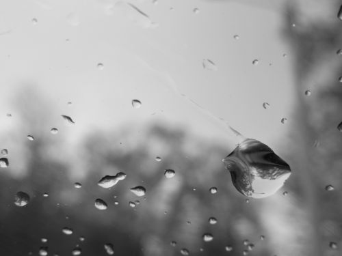 rain water glass