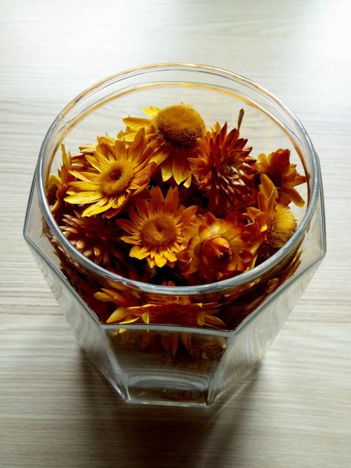 glass dried flowers colorful