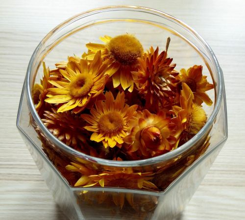 glass dried flowers colorful