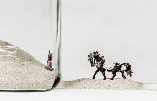 glass still life horse