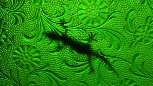 glass gecko pattern